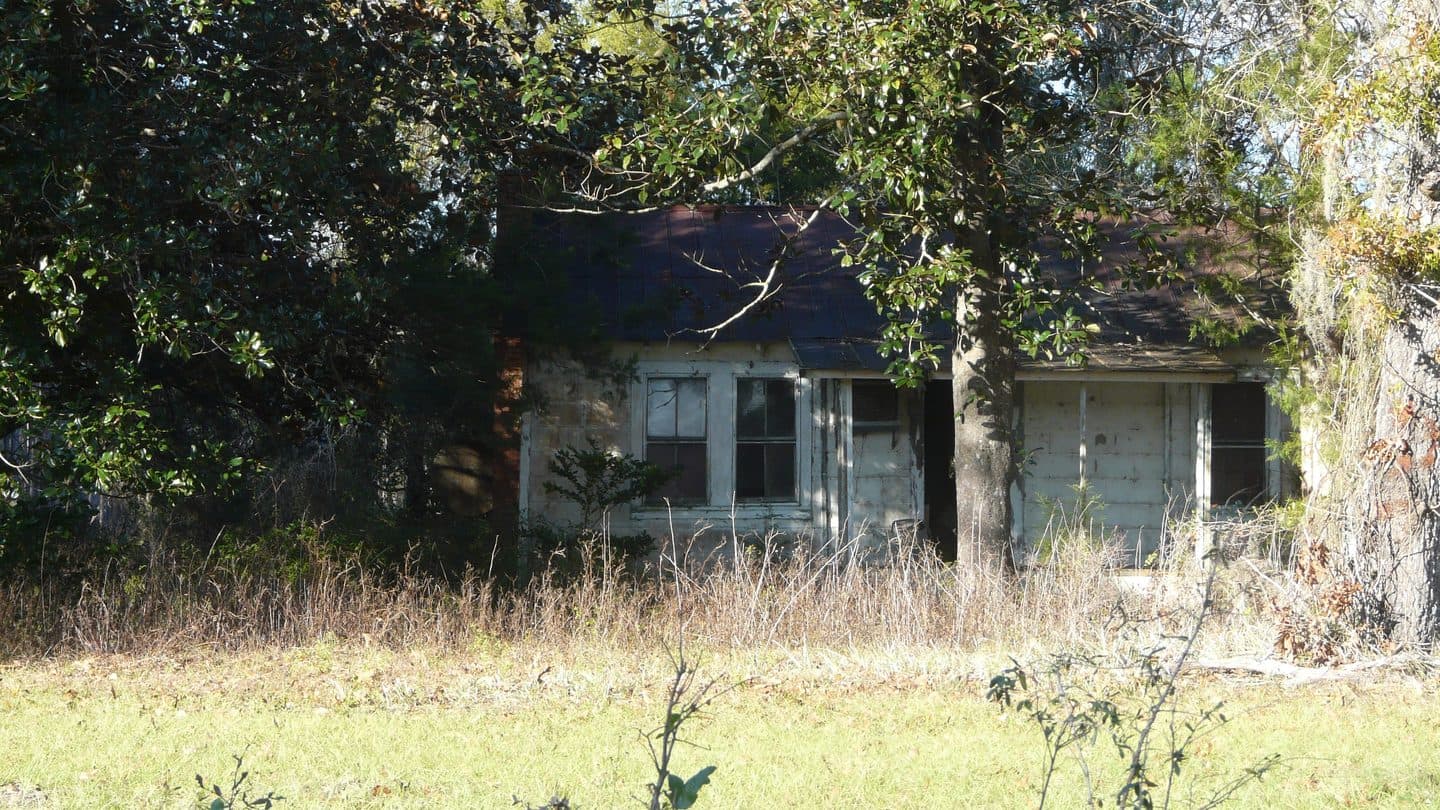 Abandoned cottage hidden in trees and tall grass after sitting empty