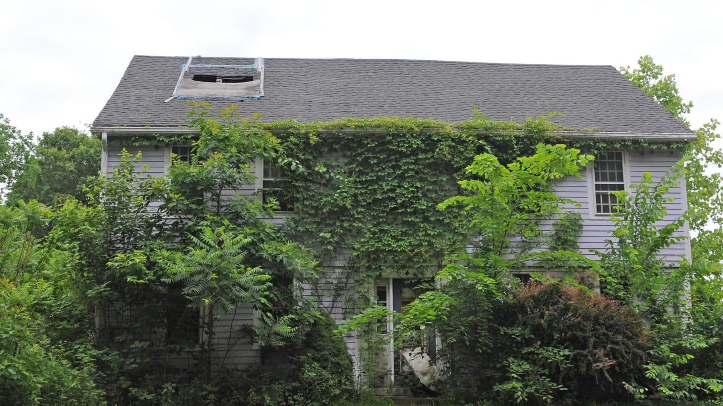 Older house with vines covering the front and a tarped hole in the roof