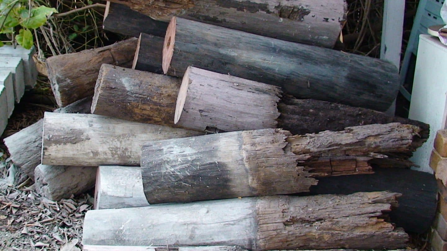 Wooden house stumps hollowed and shredded by subterranean termites